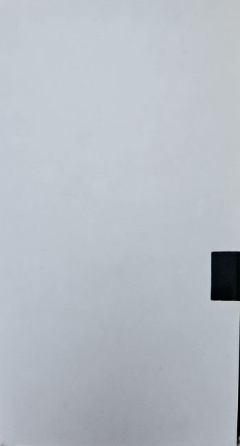 Live In Your Living Room [Europe] [Promo] [VHS]